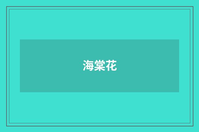 海棠花