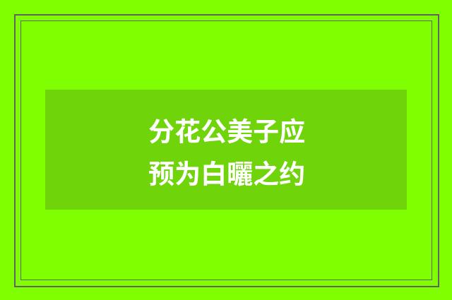 分花公美子应预为白曬之约