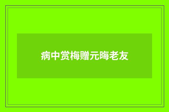 病中赏梅赠元晦老友