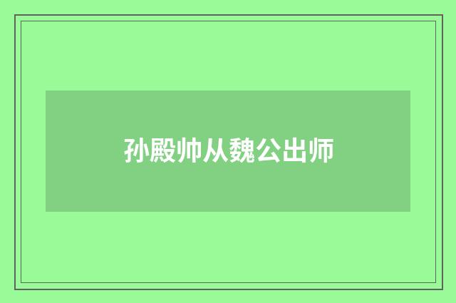 孙殿帅从魏公出师