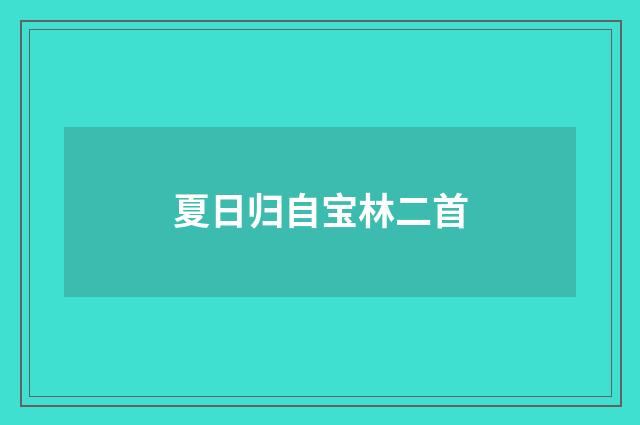 夏日归自宝林二首