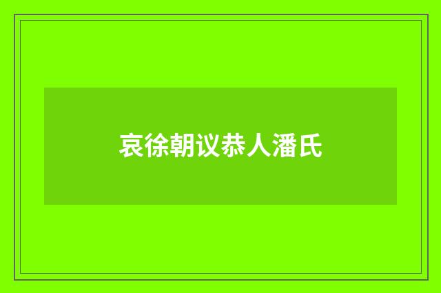 哀徐朝议恭人潘氏