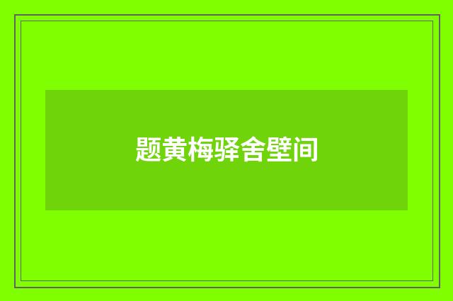 题黄梅驿舍壁间
