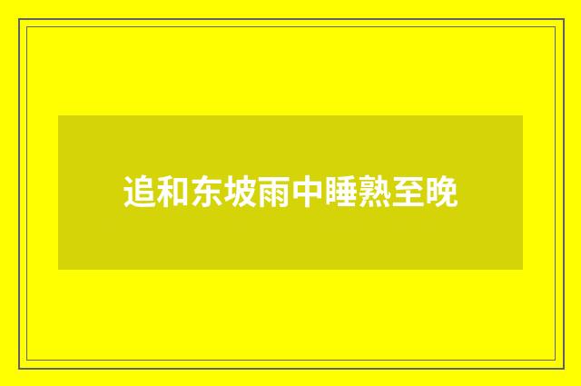 追和东坡雨中睡熟至晚