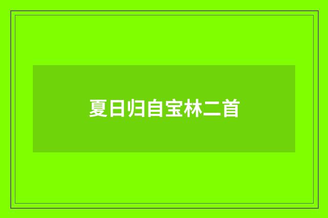 夏日归自宝林二首