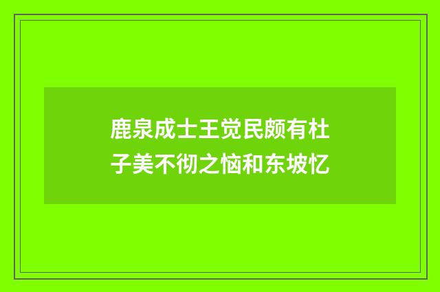 鹿泉成士王觉民颇有杜子美不彻之恼和东坡忆