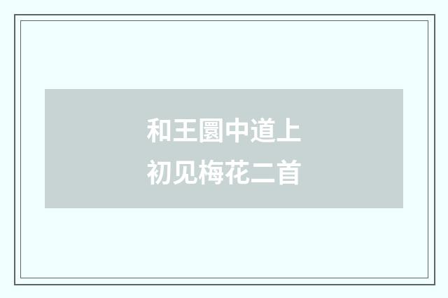 和王圜中道上初见梅花二首