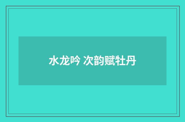 水龙吟 次韵赋牡丹