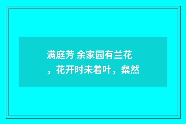 满庭芳 余家园有兰花，花开时未着叶，粲然
