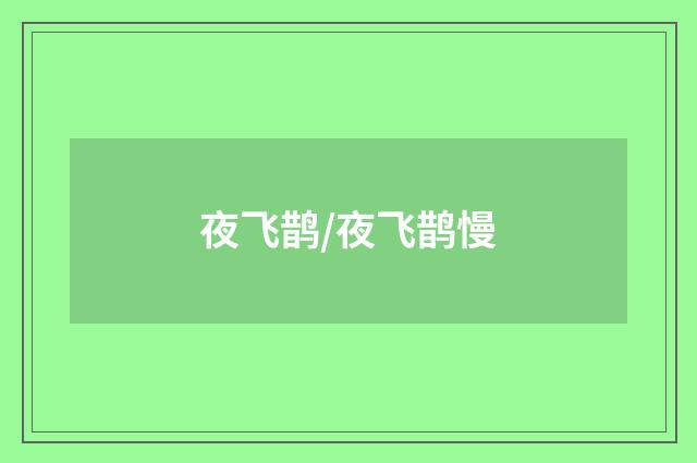 夜飞鹊/夜飞鹊慢