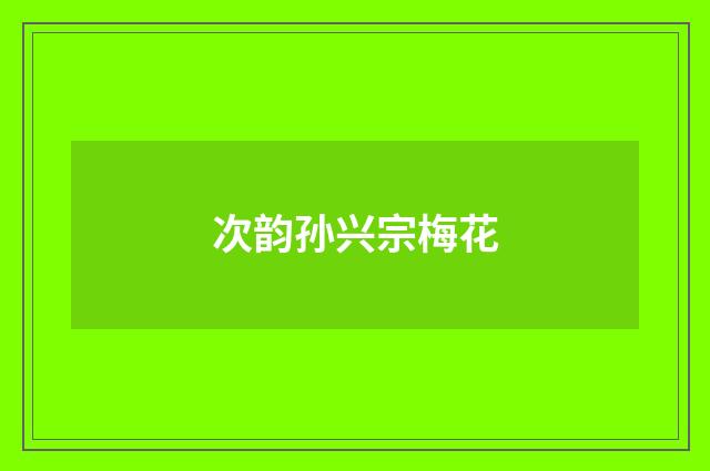 次韵孙兴宗梅花