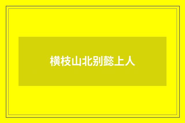 横枝山北别懿上人