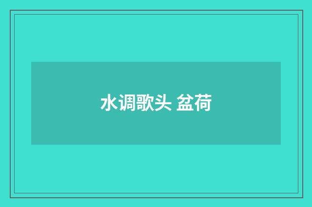 水调歌头 盆荷