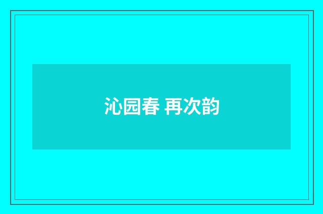沁园春 再次韵