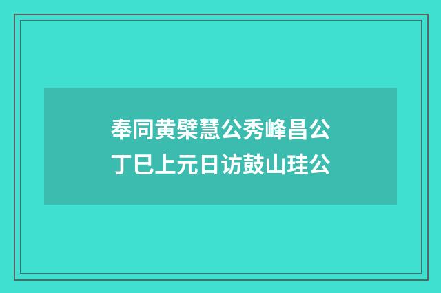 奉同黄檗慧公秀峰昌公丁巳上元日访鼓山珪公
