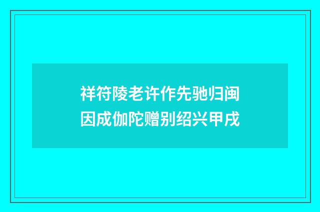 祥符陵老许作先驰归闽因成伽陀赠别绍兴甲戌