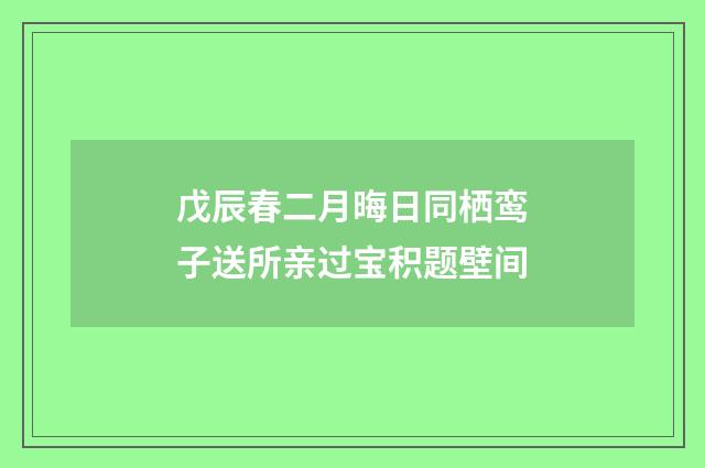 戊辰春二月晦日同栖鸾子送所亲过宝积题壁间