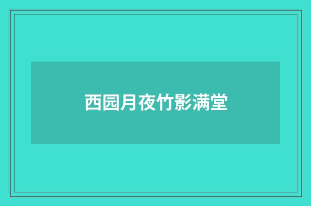 西园月夜竹影满堂