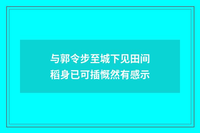 与郭令步至城下见田间稻身已可插慨然有感示