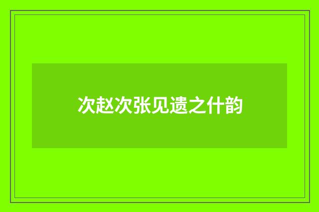 次赵次张见遗之什韵