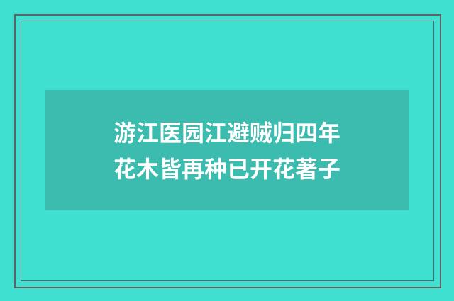 游江医园江避贼归四年花木皆再种已开花著子