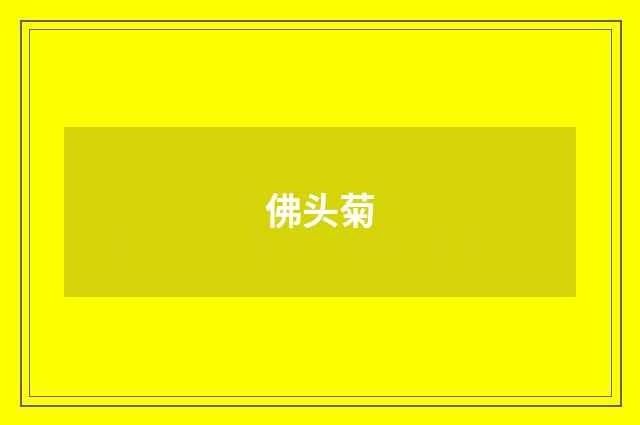 佛头菊