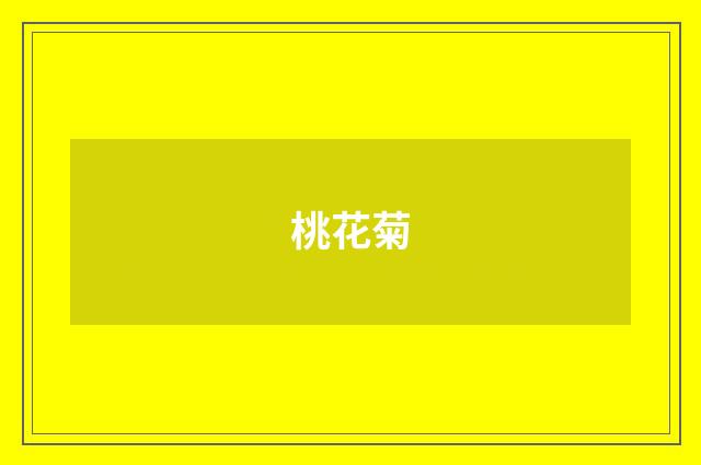 桃花菊