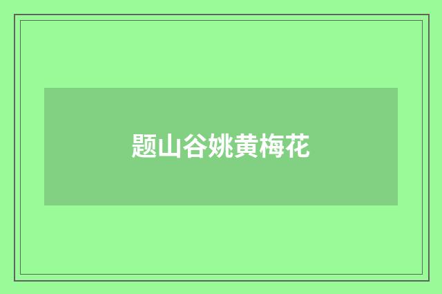 题山谷姚黄梅花