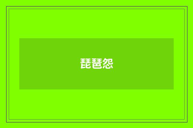 琵琶怨