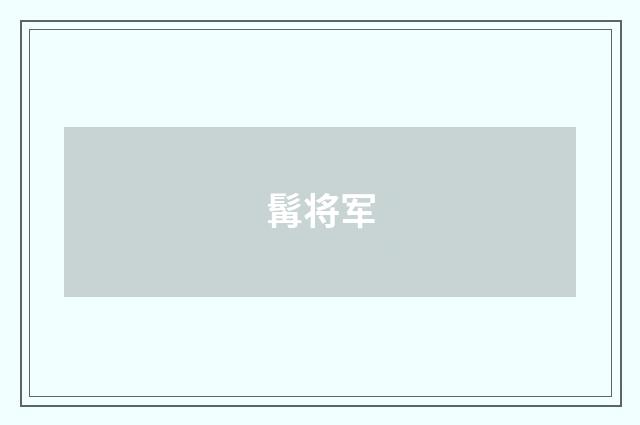 髯将军