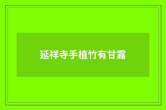 延祥寺手植竹有甘露