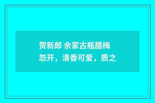 贺新郎 余家古瓶腊梅忽开，清香可爱，质之