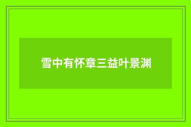 雪中有怀章三益叶景渊