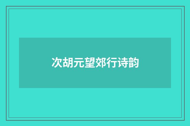 次胡元望郊行诗韵