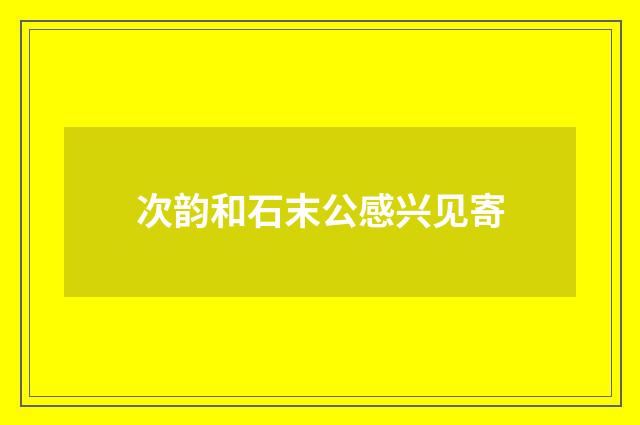 次韵和石末公感兴见寄