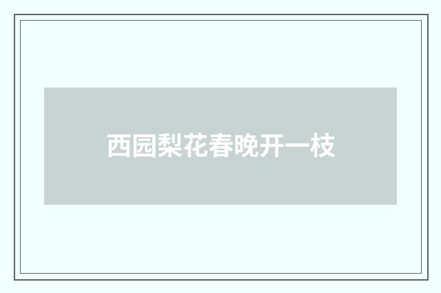 西园梨花春晚开一枝