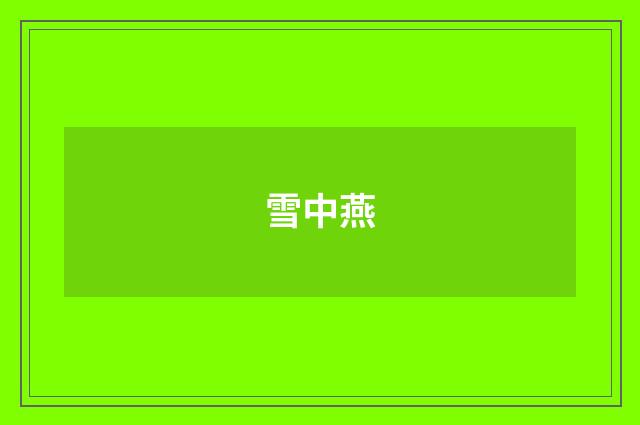 雪中燕