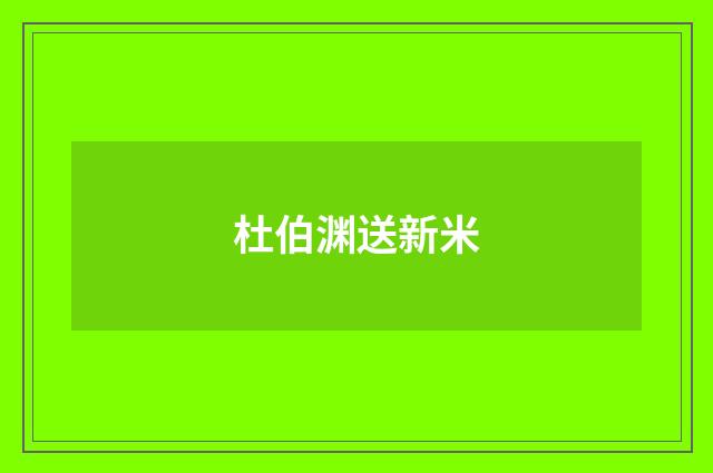 杜伯渊送新米