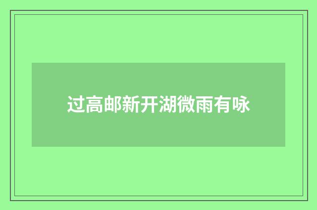 过高邮新开湖微雨有咏