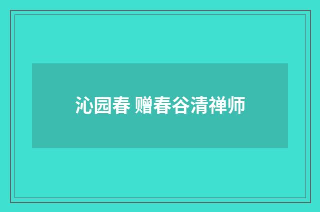 沁园春 赠春谷清禅师