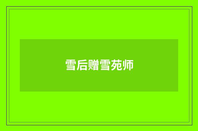 雪后赠雪苑师