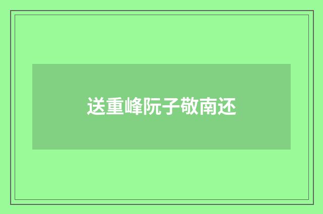 送重峰阮子敬南还