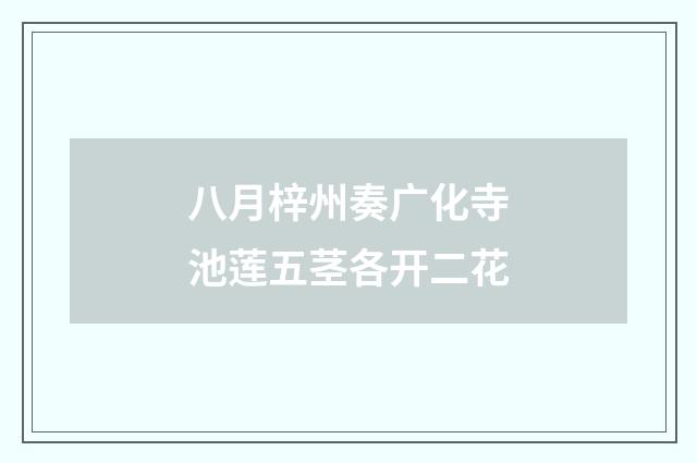 八月梓州奏广化寺池莲五茎各开二花