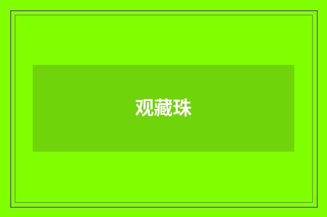 观藏珠
