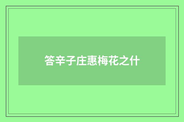 答辛子庄惠梅花之什