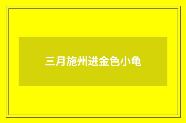 三月施州进金色小龟