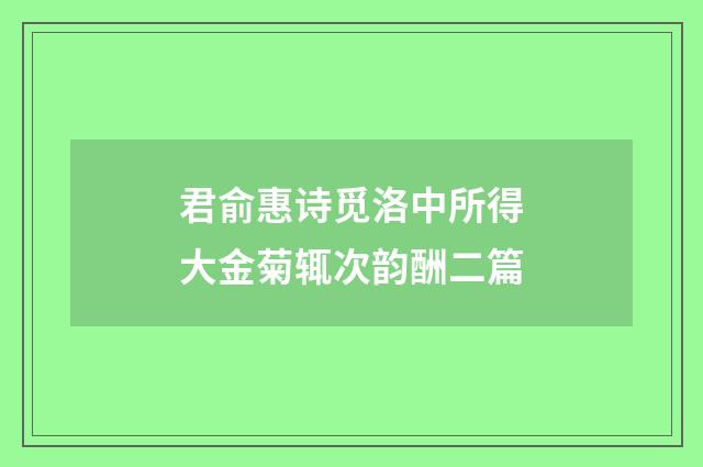 君俞惠诗觅洛中所得大金菊辄次韵酬二篇