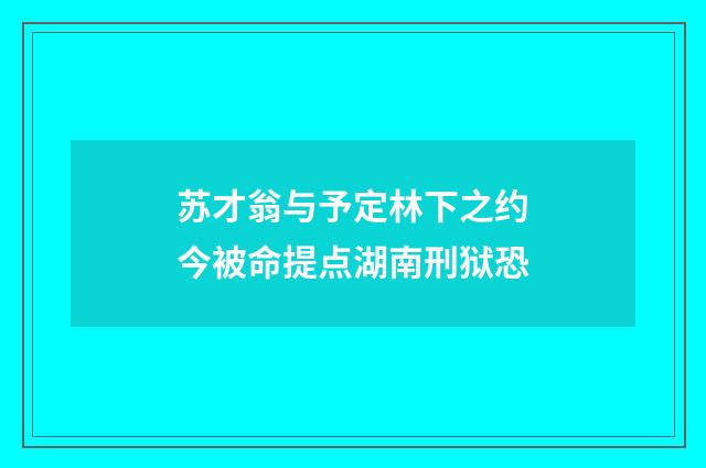 苏才翁与予定林下之约今被命提点湖南刑狱恐