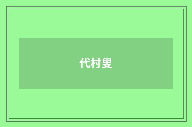 代村叟