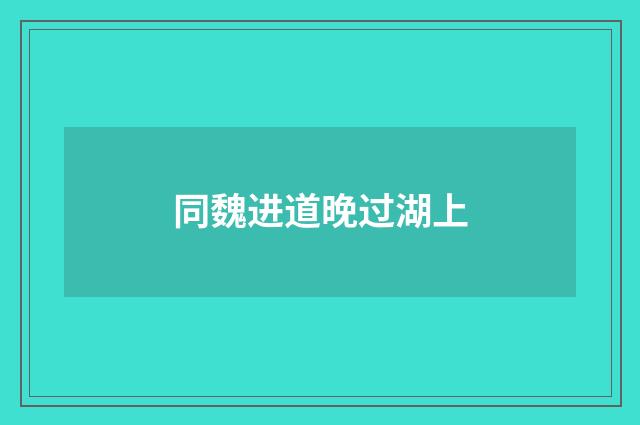 同魏进道晚过湖上